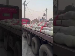 31Y1-33881 31QA-60110 31QA-60111 31Y1-33880 Bouteille cylindre hydraulique Assy pour R430LC-9S R380LC-9 R8