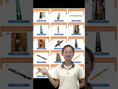 318C 319C 194-8413 194-8140 Excavateur cylindre à bras hydraulique 1948413 1948140 cylindre à godet Assy